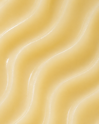The Little All-Over Kış Kremi