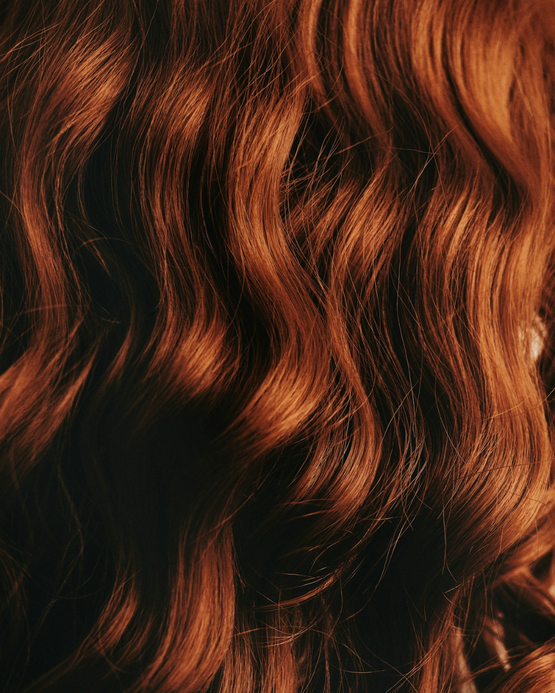 The Shine Hair Oil